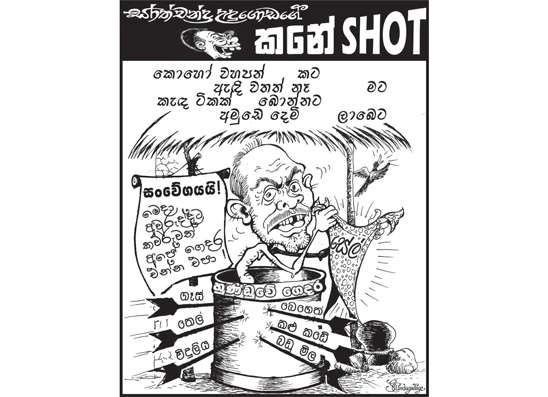 කනේ shot 08-04-2026