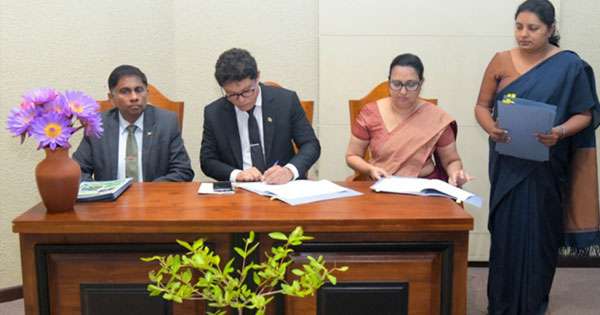 පුත්තලමේ කඩොලාන වනාන්තර 8ක් රක්ෂිත කරයි