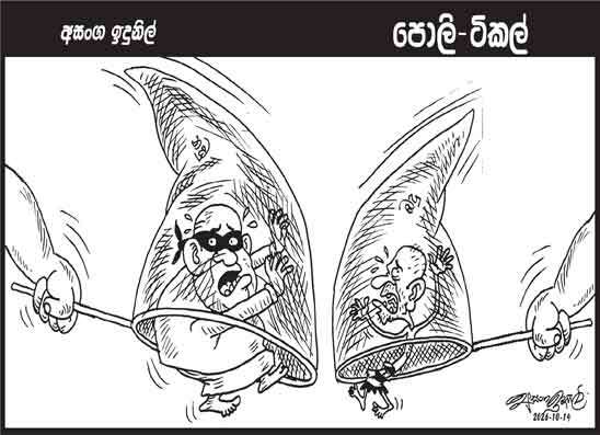 පොලි ටිකල් 14-10-2026