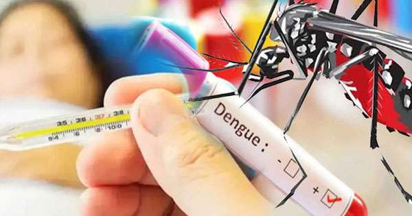 ඩෙංගු මරණ 50 දක්වා ඉහළට