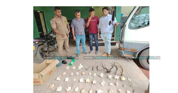 සත්ව කොටස් සමඟ 4ක් අල්ලයි