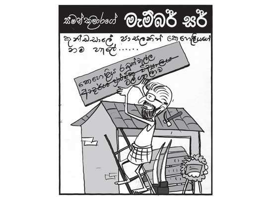 මැම්බර් සර් 22-10-2024