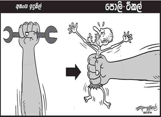 පොලි ටිකල් 04-05-2026