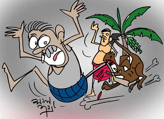 කෙසෙල් හොරාට අතිනුත් පුදලා