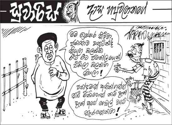 සුවාරිස් 04-06-2026