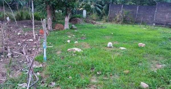 ආණ්ඩුවේ වැඩකට නොගන්න ඉඩම් හෙක්ටයාර 247ක් ආයෝජකයන්ට