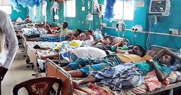 ඩෙංගු රෝගීන් වැඩි පිරිසකට අලුත් වෛරසය