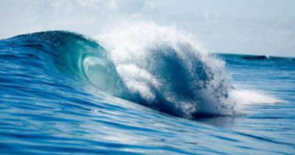 මාතර-පොතුවිල් මූද ගැන රතු නිවේදනයක්