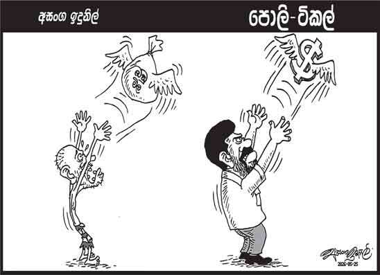 පොලි ටිකල් 25-05-2026