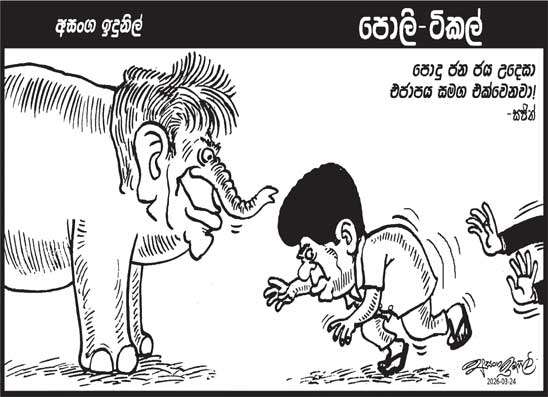 පොලි ටිකල් 24-03-2026