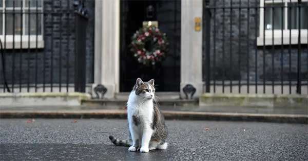 ලැරී ඩවුනිං වීදියට ඇවිල්ලා අවුරුදු 15 ක්