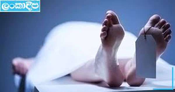 අයිස් පැකට්ටුවක් බඩේ දී පිපිරී රිය සහායක මරුට
