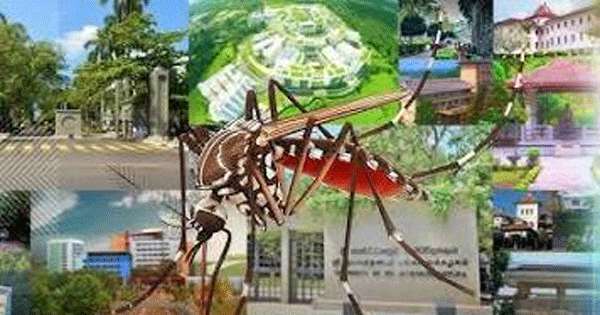 සියලු සරසවිවලට ඩෙංගු මාර්ගෝපදේශ මාලාවක්