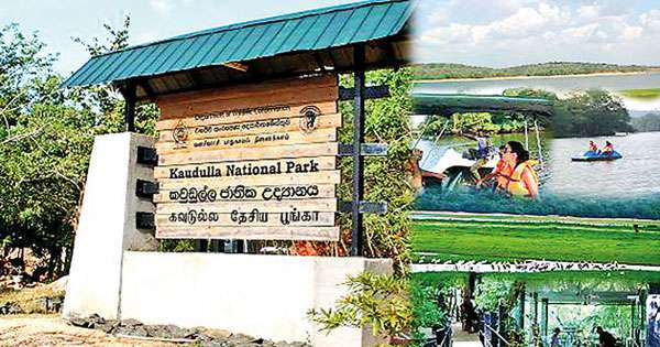 කවුඩුල්ලේ සංචාරක වංචාවට දෙකක් ගෙදර යවයි