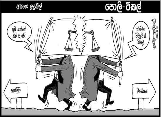 පොලි ටිකල් 31-07-2026