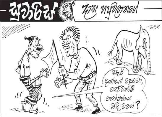 සුවාරිස් 30-04-2026