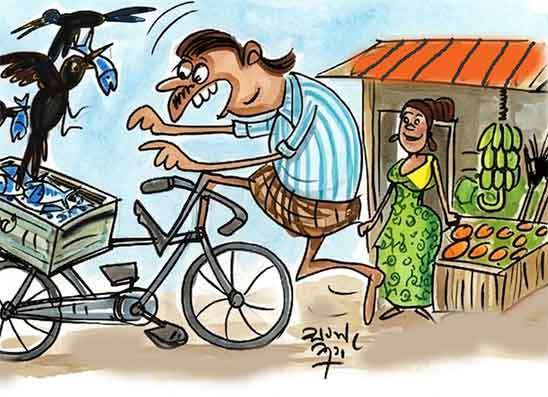 රූපෙට වහ වැටී මාළු පෙට්ටිය කාක්කන්ට පුදලා