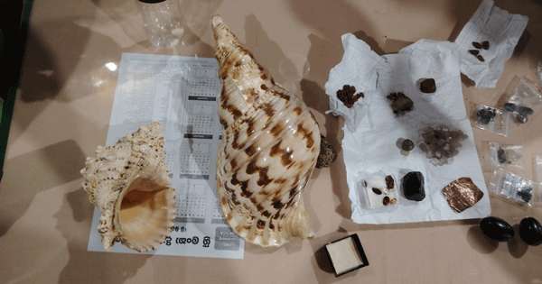 හොරෙන් විකුණන්න ගිය භාණ්ඩ තොගයක් අල්ලයි