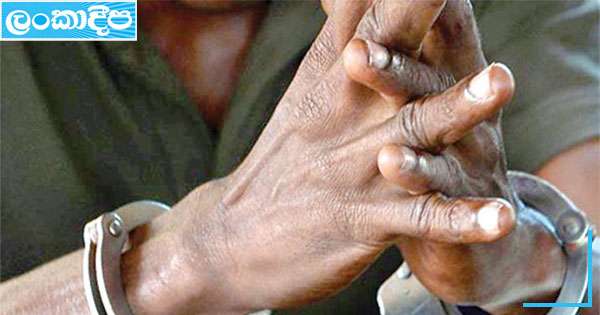 මවගේ මරණයට පුතා අත්අඩංගුවට