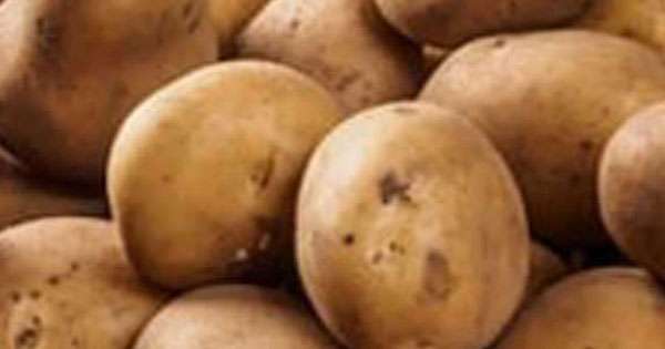 නුවරඑළිය ගොවිහු රජයට අර්තාපල් දෙති