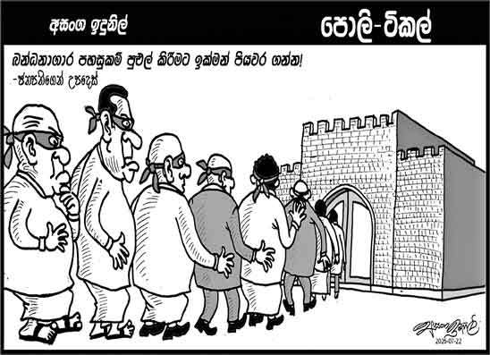 පොලි ටිකල් 22-07-2026