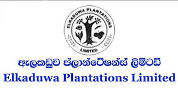 පාලනාධිකාරියේ තීරණයට අවනත නොවූ ඇල්කඩුව සමාගමේ දෙකක් ගෙදර