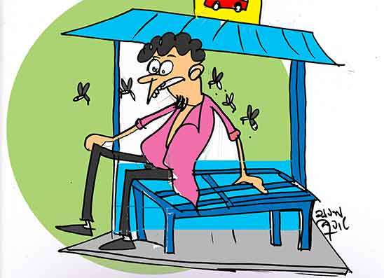 බෝතලයට යටවී එලිවෙනකන් පරිප්පු කයි