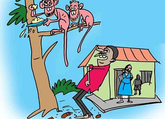 බත් පතට දොස් කී සැමියාට රිලවුන්ගෙන් යස පාඩමක්