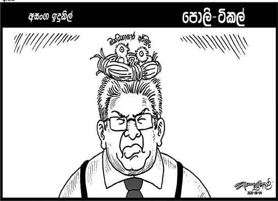 පොලි ටිකල් 04-08-2026