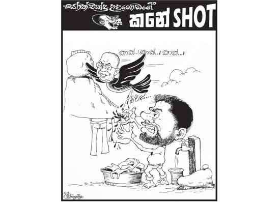 කනේ shot 14-01-2026