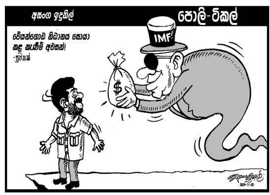 පොලි ටිකල් 25-11-2024