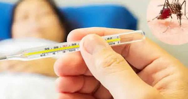 ඩෙංගු පැතිරීම පාලනය වෙලා
