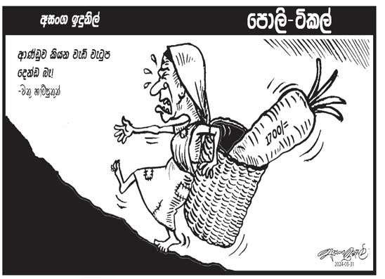 පොලි ටිකල් 31-05-2024