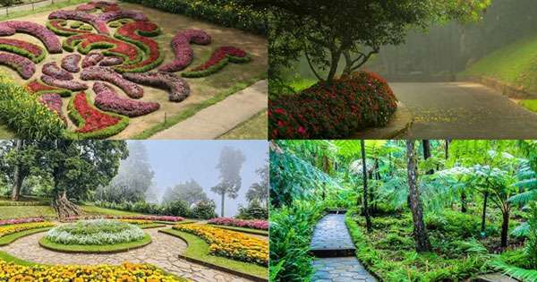 උද්භිද උද්‍යාන දෙපාර්තමේන්තුවේ අධ්‍යක්ෂ පත් කරයි