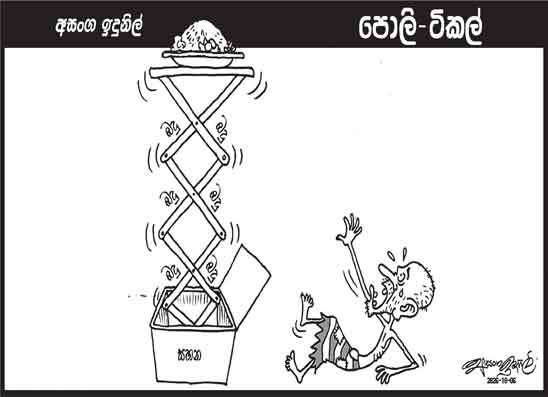 පොලි ටිකල් 06-10-2026