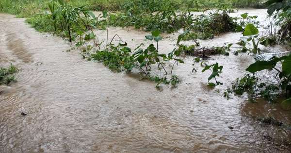 පළාත් රැසකට අද සවස වැසි ඇද හැළෙයි