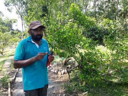 හිටපු ඇමතිගේ පලතුරු වත්ත