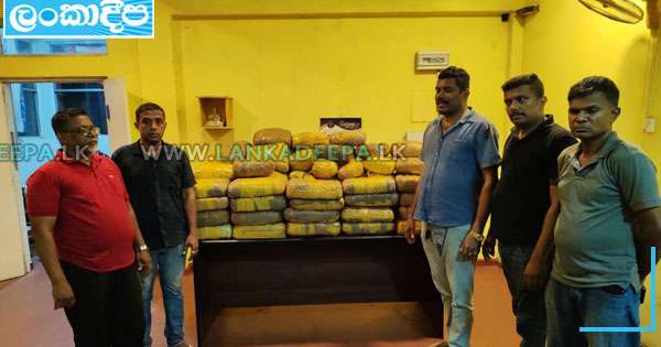 කෝටි 6ක ගංජා සමඟ අයෙක් කොටුවෙයි