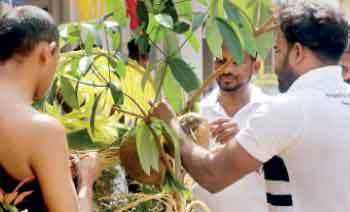 මහවැස්සේ සැඩපහරට බැස ගඟේ තොරණ බේරාගත් රත්නපුර තරුණයෝ