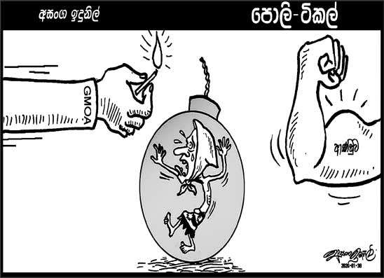 පොලි ටිකල් 30-01-2026