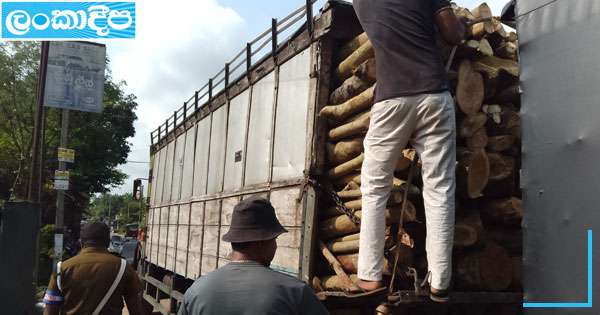 දර ලොරියේ කොටයක් සිසුවාගේ ඇඟට වැටිලා
