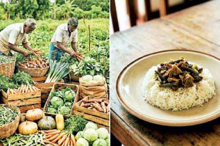 දිට්වා ව්‍යසනයෙන් පසු එළවළු මිල පවුලේ පෝෂණයට කරන බලපෑම