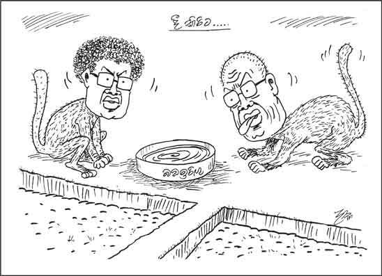 දාස 28-07-2026