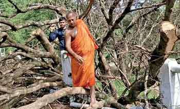 ගමත් එකතු කරගෙන නායගිය පාරවල් පාලම් ගොඩදාන විල්වල හාමුදුරුවෝ