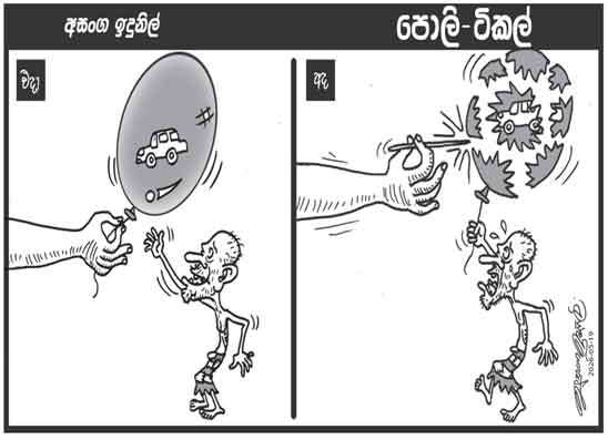 පොලි ටිකල් 19-05-2026