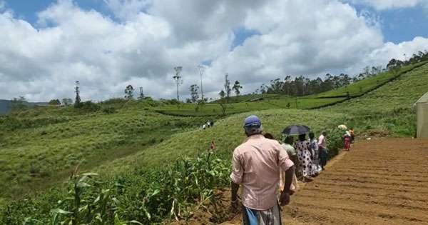 රජයේ ඉඩම් පෙන්නා මුදල් ගැරූ නාගරික මන්ත්‍රී අත්අඩංගුවට