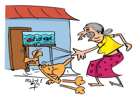 බලු‍ හුටපටේට  කෙහෙවළු පටලවාගෙන