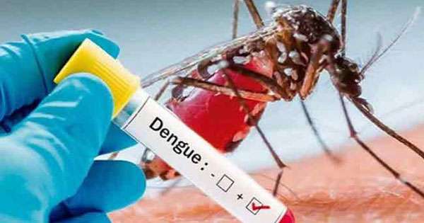 මේ අවුරුද්දට ඩෙංගු මරණ 14ක්