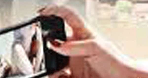 බස් රියැදුරාගේ වැරදි ධාවනය රූගත කළැයි කතකට ගහල