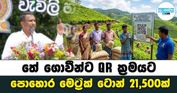 තේ ගොවීන්ට QR ක්‍රමයට පොහොර මෙට්‍රික් ටොන් 21,500ක්